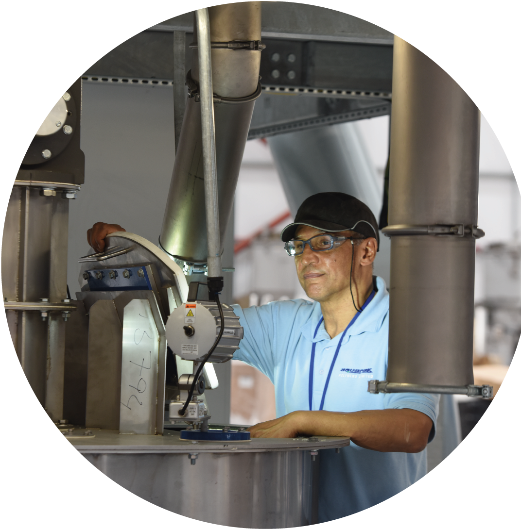 Quattro | Demographics